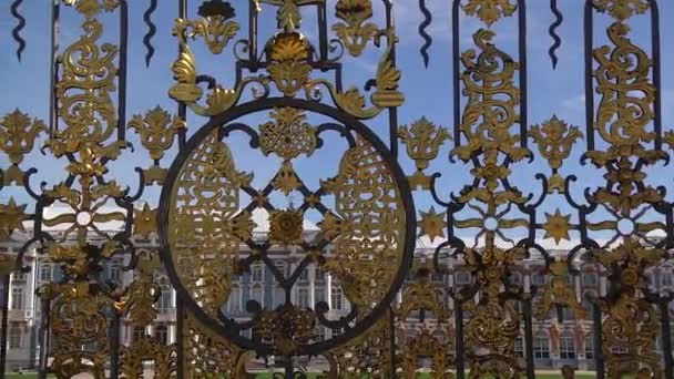 Grill Catherine Palace Pushkin — Stock Video