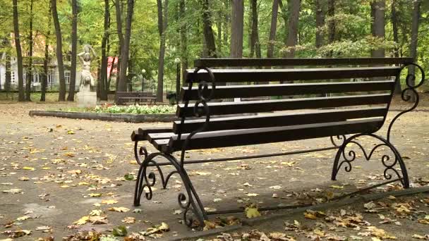 カリーニング ラードのサンクトペテルブルク市域で公園のベンチ — ストック動画