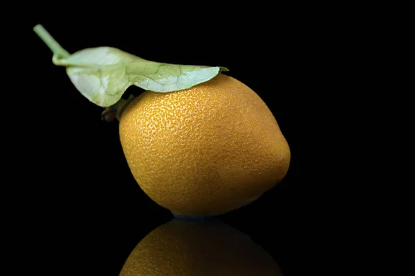 Yakın çekim yaprak siyah arka plan üzerine limon