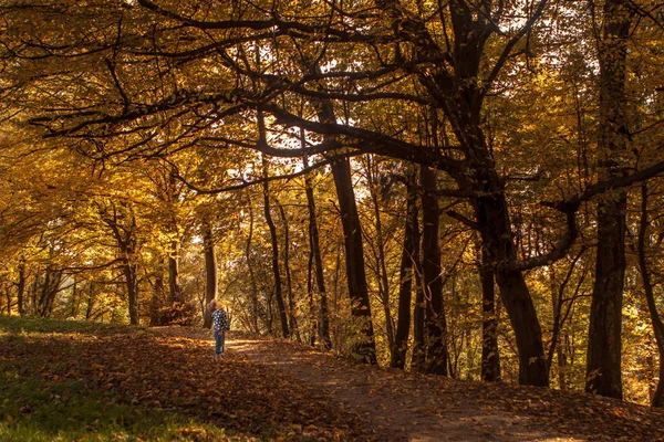 Dítě Parku — Stock fotografie