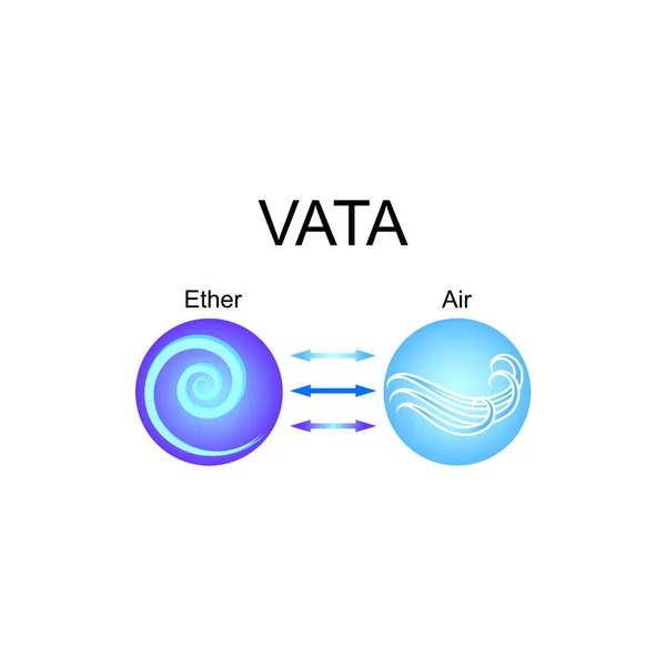 Vata dosha - constitución ayurvédica del cuerpo humano. Combinación de éter y elementos de aire. Ilustración vectorial . — Vector de stock