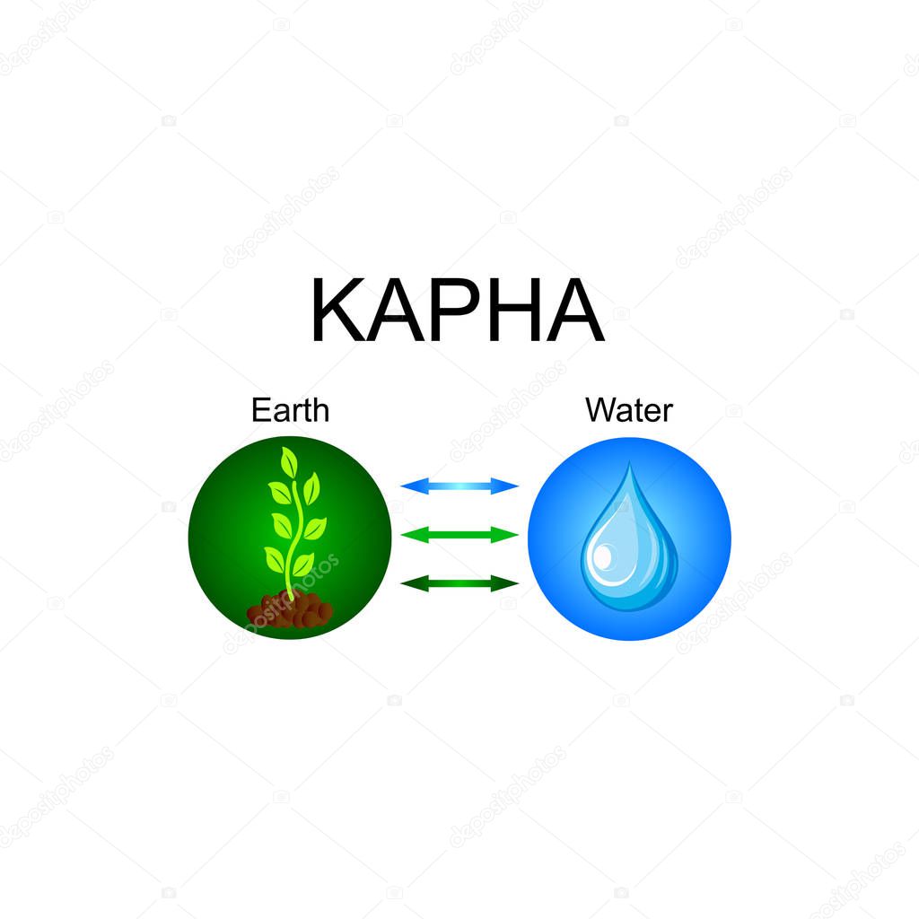 Kapha dosha - ayurvedic human body constitution. Combination of earth and water elements. Vector illustration.