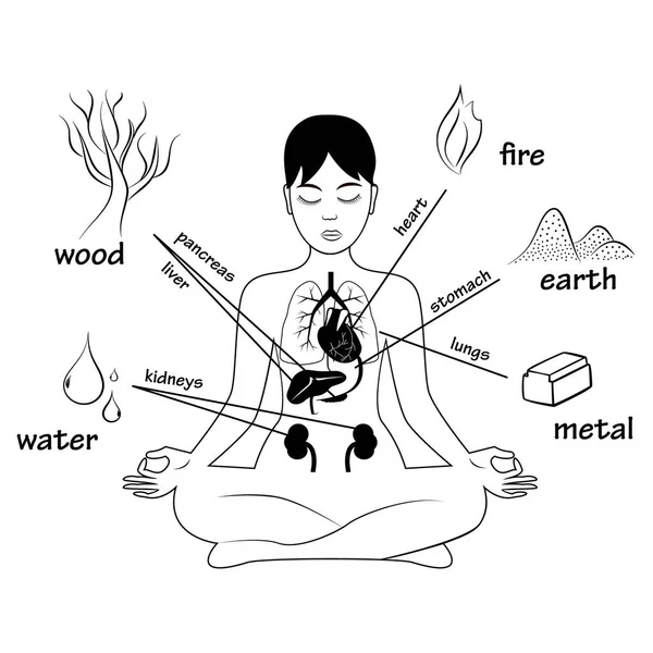 Пять элементов и человеческих органов. Силуэт сидящей женщины — стоковый вектор