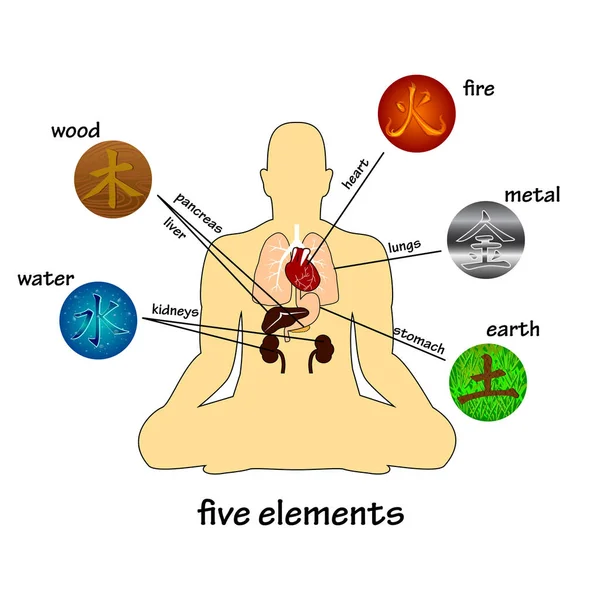 Five elements and human organs. Silhouette of sitting man — Stock Vector