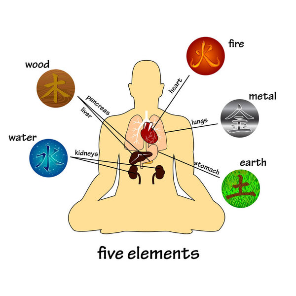 Five elements and human organs. Silhouette of sitting man
