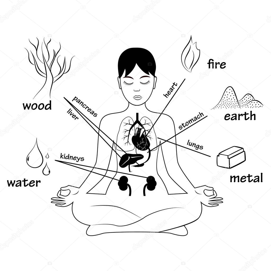 Five elements and human organs. Silhouette of sitting woman