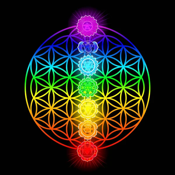 Siete chakras y flor de la vida vector ilustración — Vector de stock