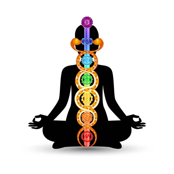 Kadın siyah siluet yedi çakralar renkli semboller ile yoga konumda