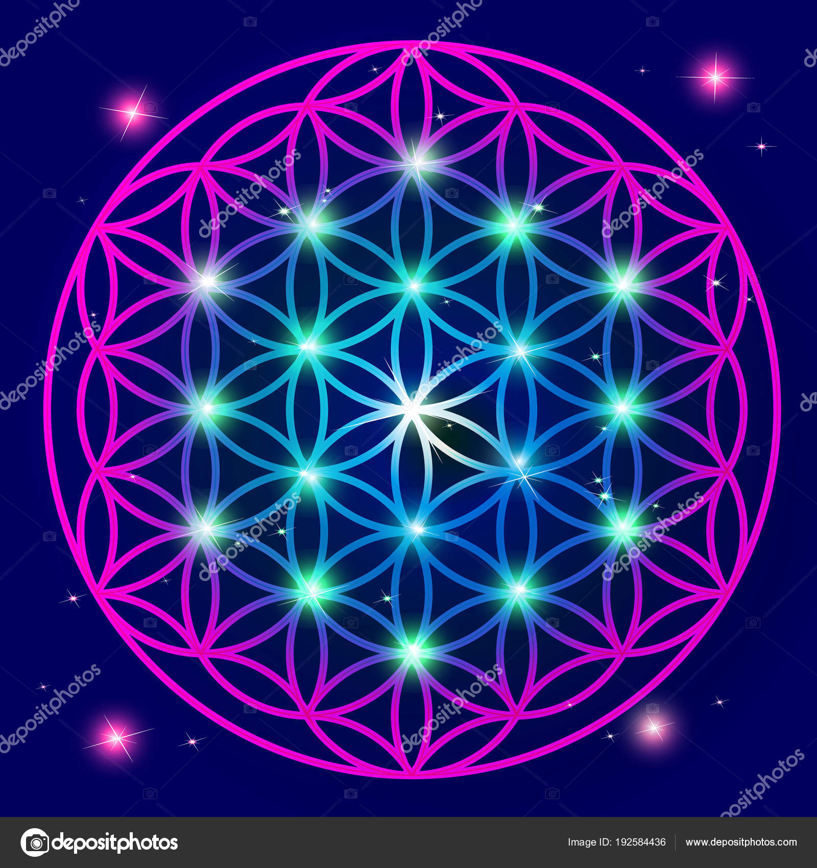 Vector Flower Of Life Mandala Flower Of Life Mandala