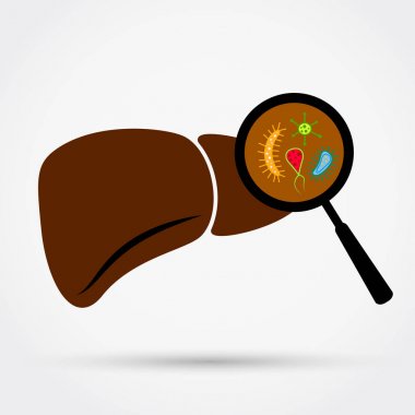 Mikroplar veya karaciğer enfeksiyonu. Vektör çizim.