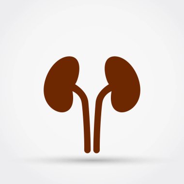 Böbrekler vektör simgesi.