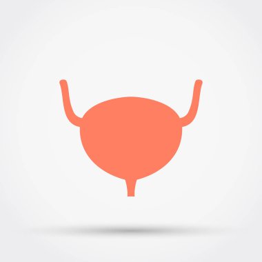 İdrar kesesi vektör simgesi.