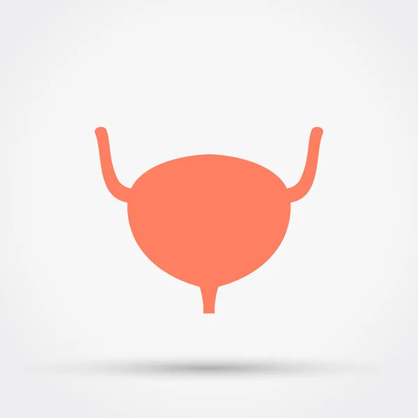 Urinary bladder vector icon. — Stock Vector