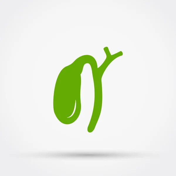 Gall bladder vector icon. — Stock Vector