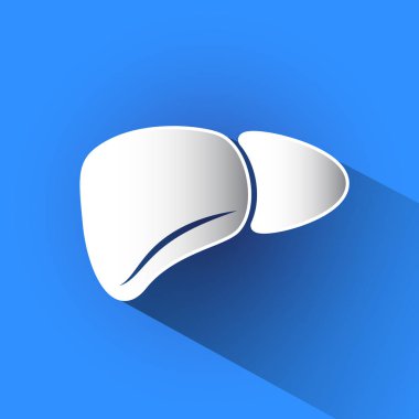 Karaciğer vektör simgesi.