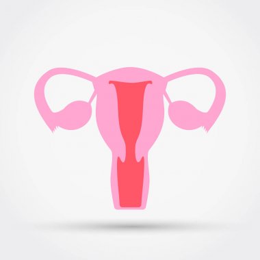 Rahim vektör simgesi.