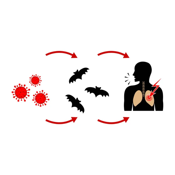 Transmisión Del Nuevo Coronavirus Los Murciélagos Los Humanos Ilustración Vectorial — Vector de stock