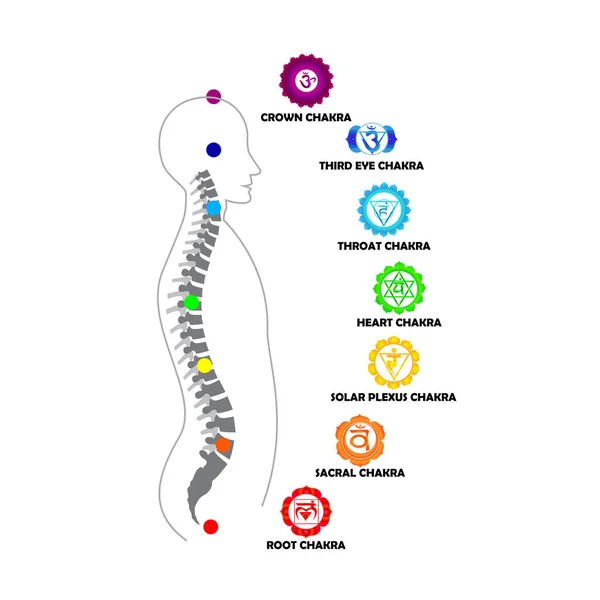 Silhouette Uomo Con Chakra Brillanti Attivi Isolati Sul Bianco Sfondo — Vettoriale Stock