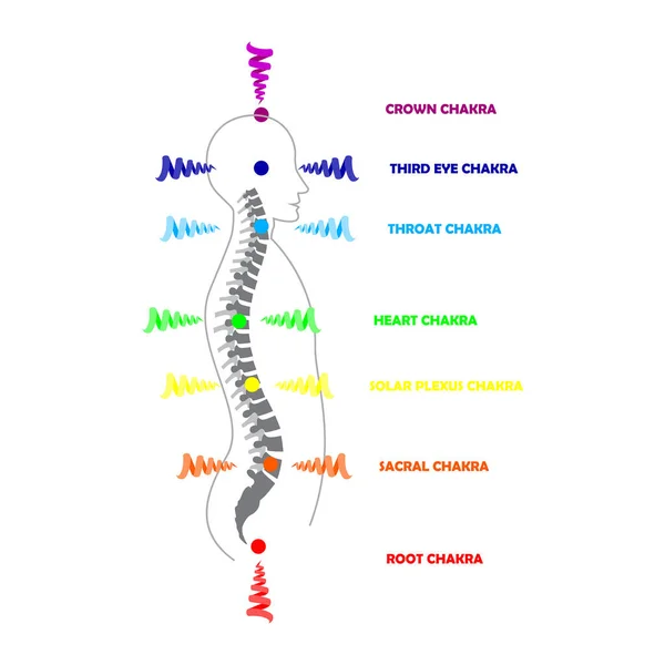 Silueta Hombre Con Chakras Brillantes Activos Aislados Ilustración Del Vector — Vector de stock