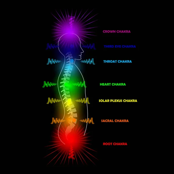 Silueta Hombre Con Chakras Brillantes Activos Ilustración Del Vector Fondo — Vector de stock