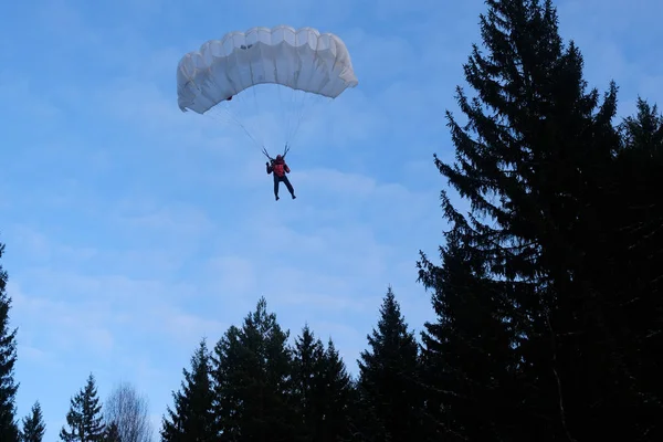 Parachutisme Précis Parachutiste Atterrir Dans Forêt — Photo