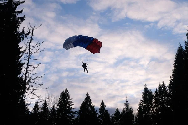 Parachutisme Précis Parachutiste Atterrir Dans Forêt — Photo
