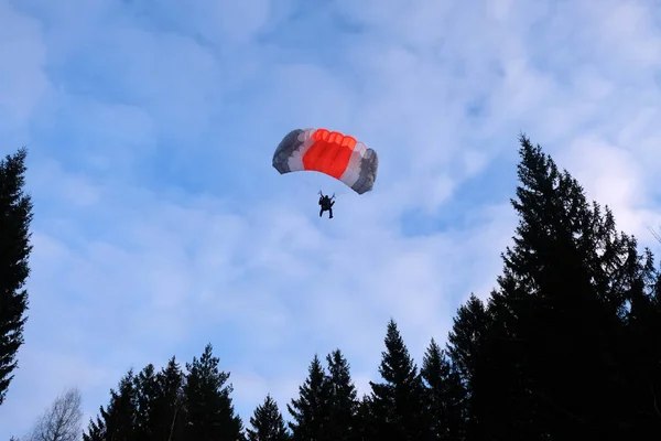 Parachutisme Précis Parachutiste Atterrir Dans Forêt — Photo