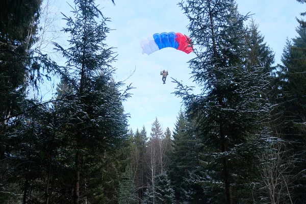 Nauwkeurigheid Skydiven Een Skydiver Landt Het Bos — Stockfoto