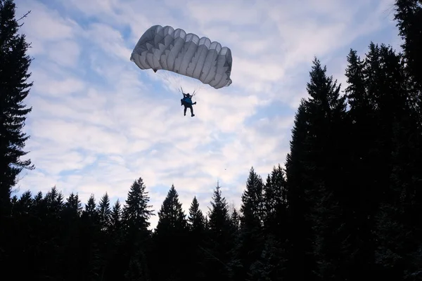 Accuracy Skydiving Skydiver Going Land Forest — 스톡 사진