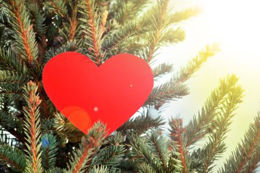 Kayıp kırmızı kalp bir Sevgililer günü soğuk, kalp parlayan bir ışık ile bir soğuk kış kar üzerinde tek başına için el ulaşır. Aşk ya da kırık bir rüya bir sembolü olarak sıcak güzel günde kar ağacında kırmızı kağıt kalp yapışmış