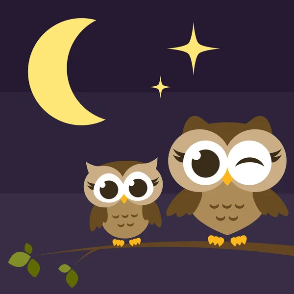 两个可爱猫头鹰在夜间的树枝上 — 图库矢量图片