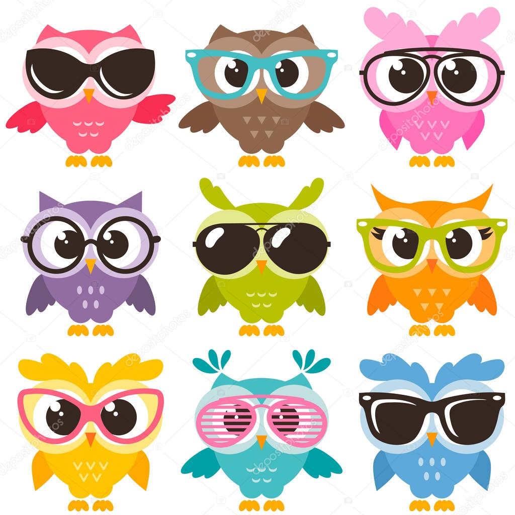 Set of colorful funny owls with glasses isolated on white
