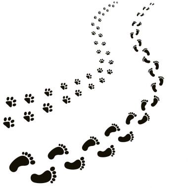 animal and human footprints isolated in white clipart