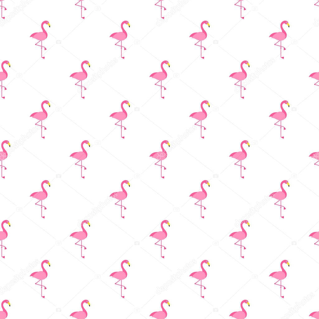 Pattern with Flamingo bird on white background