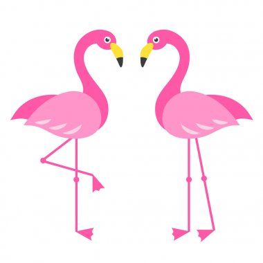İki Pembe Flamingo kuşları üzerinde beyaz izole