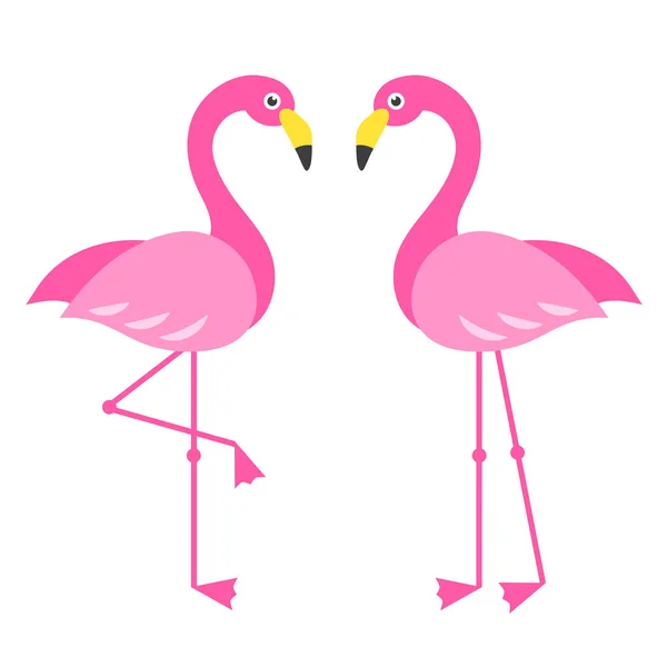Dois pássaros Flamingo rosa isolados em branco — Vetor de Stock