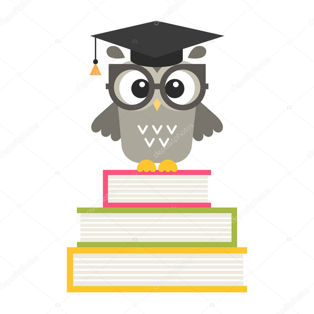 cute owl on the books isolated on white