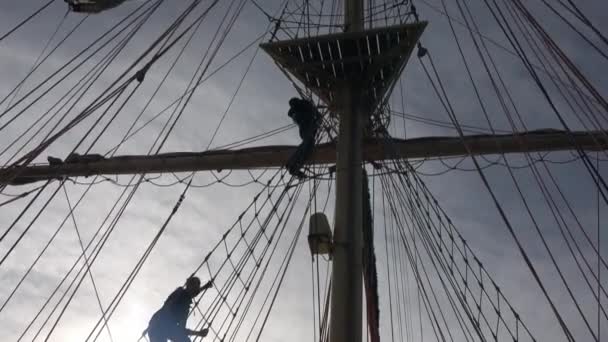 背の高い帆船の乗組員はヤードを入力し 帆を準備するマストを登っています バックライト — ストック動画