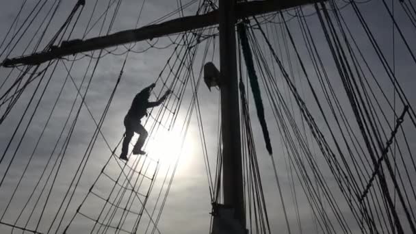 Bemanning Van Hoog Zeilschip Klimmen Mast Aan Achterkant Licht Voeren — Stockvideo