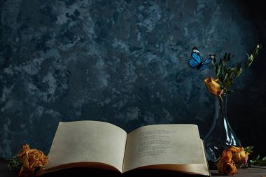 Natürmort tablo vazo bir yer, metniniz için uçan kelebekler, çiçekler ile açık bir kitap                               