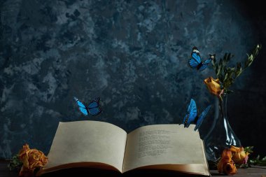  Natürmort tablo vazo bir yer, metniniz için uçan kelebekler, çiçekler ile açık bir kitap                              