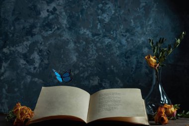 Natürmort tablo vazo bir yer, metniniz için uçan kelebekler, çiçekler ile açık bir kitap                               