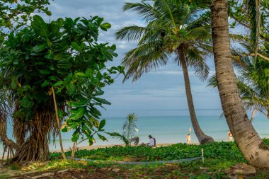 Phuket plaj manzara