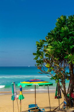 Plaj boyunca duygusal yürüyüş