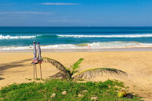 Plaj boyunca duygusal yürüyüş