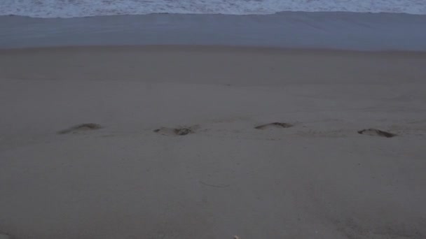 empreintes de pas dans le sable  