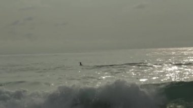 bir dalga sörfçü   