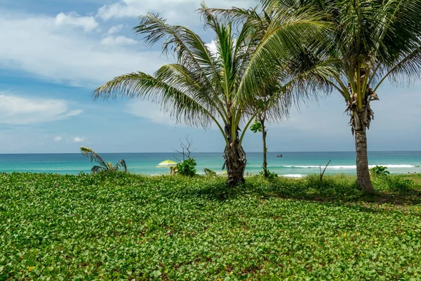 Caminhada sentimental ao longo da praia — Fotografia de Stock