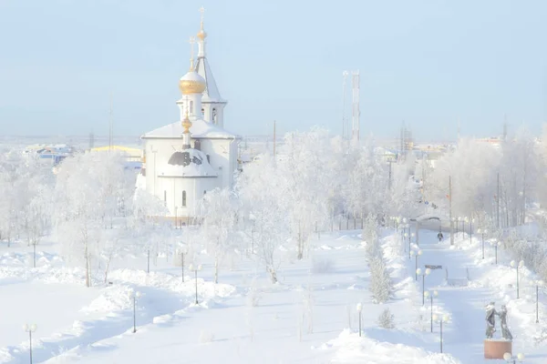 A clear winter day — Stock Photo, Image