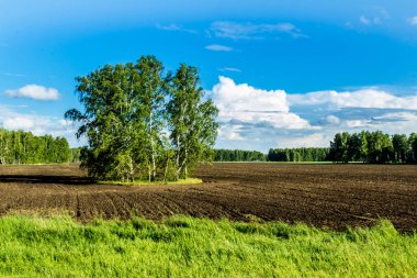 Haziran ayında alan